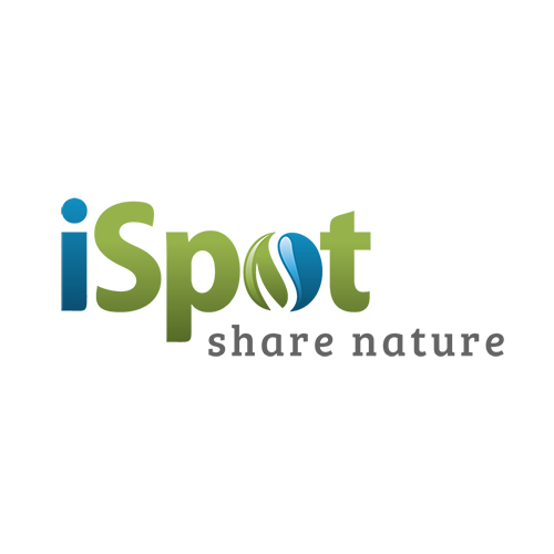 iSpot Nature Logo
